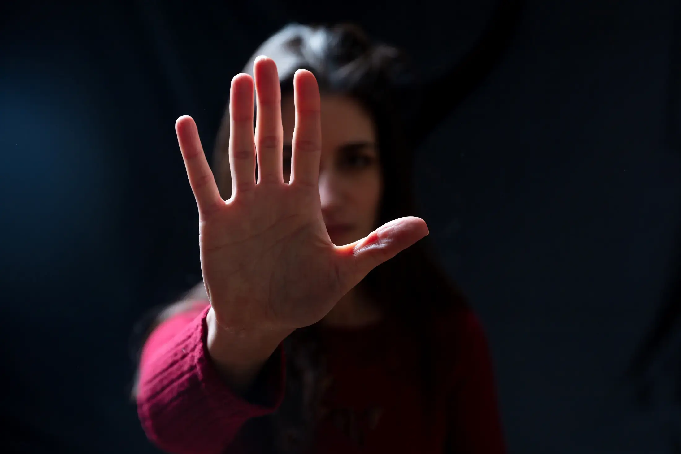 Zonta Says NO to Violence Against Women